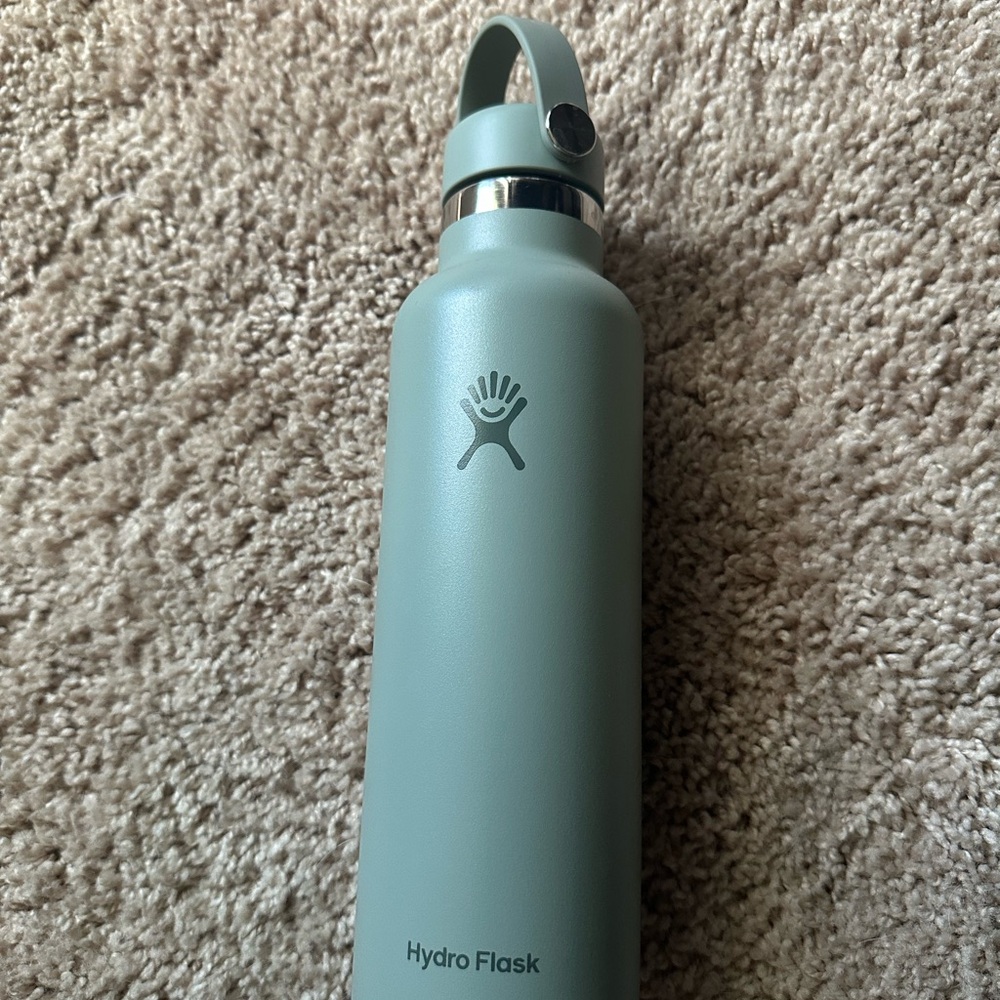 Hydro Flask Matte Sage Green Insulated Bottle with Carry Handle